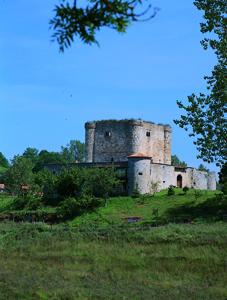 Castillo de Virtus