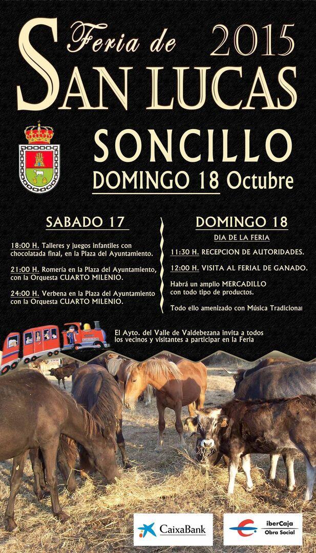 FERIA SAN LUCAS 2015
